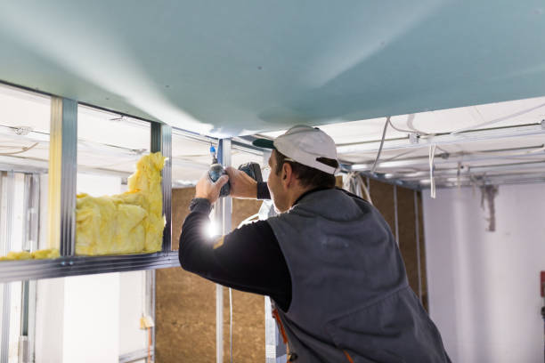 Best Cellulose Insulation in Plumas Lake, CA