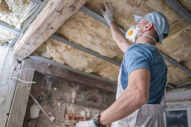 Best Spray Foam Insulation in Plumas Lake, CA
