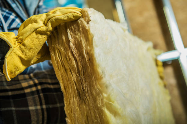 Best Spray Foam Insulation in Plumas Lake, CA